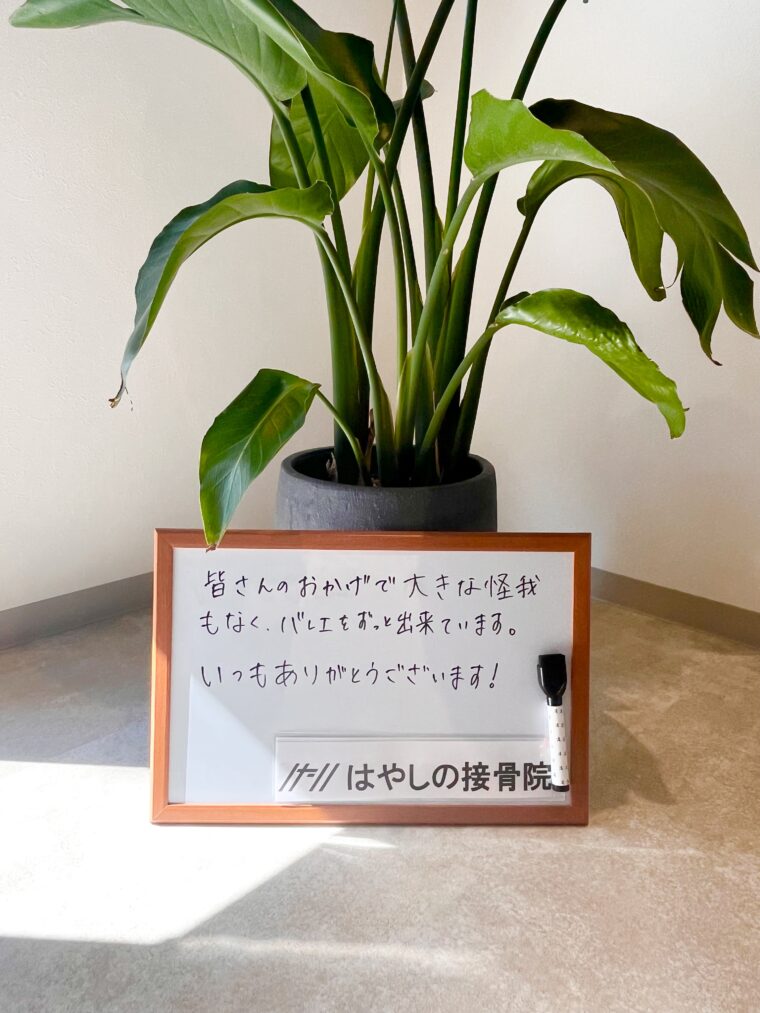 アンケート