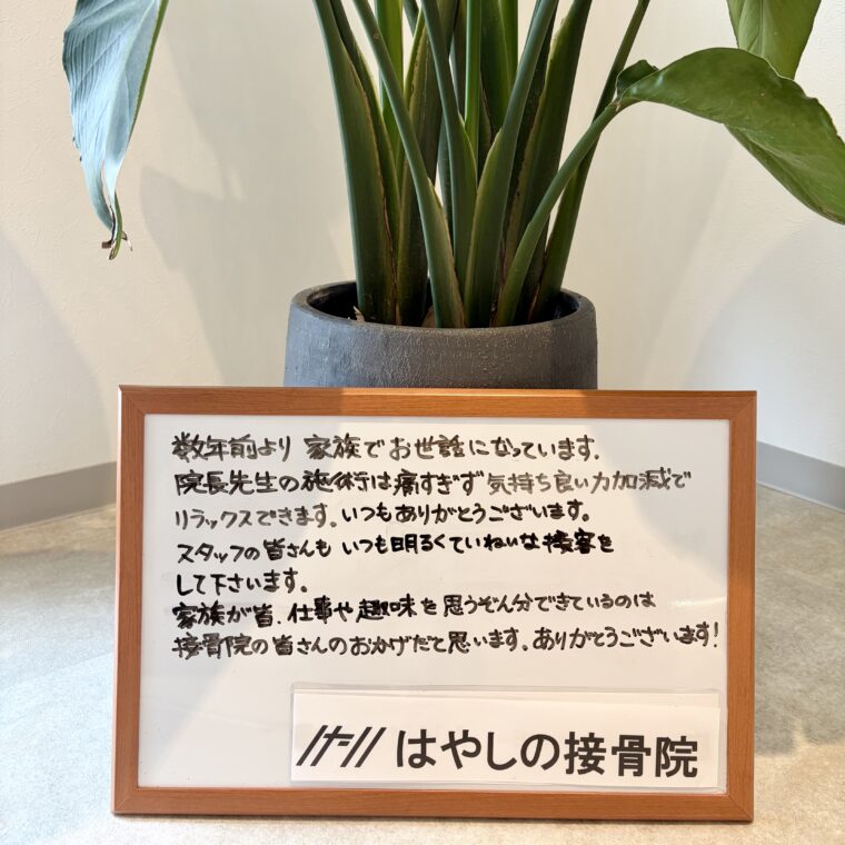 アンケート